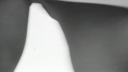 Bizarre Moods