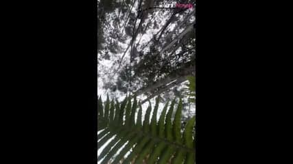 Cavala Loira Foi Dar O Cu No Mato